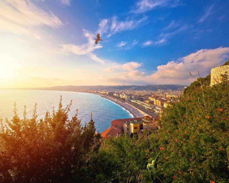 acheter un viager dans les Alpes-Maritimes